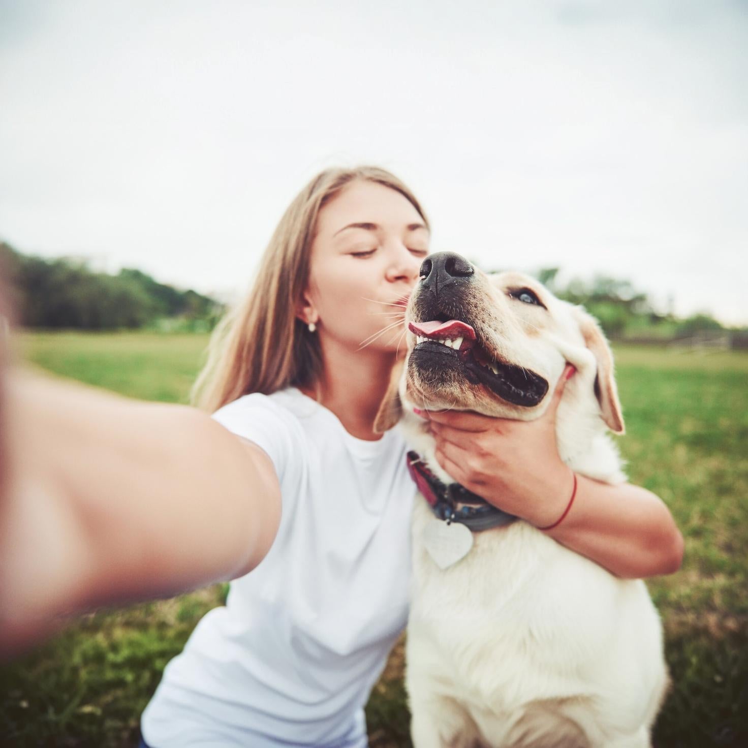 La evolución de los perros: la ciencia revela su transformación en compañeros aún mejores