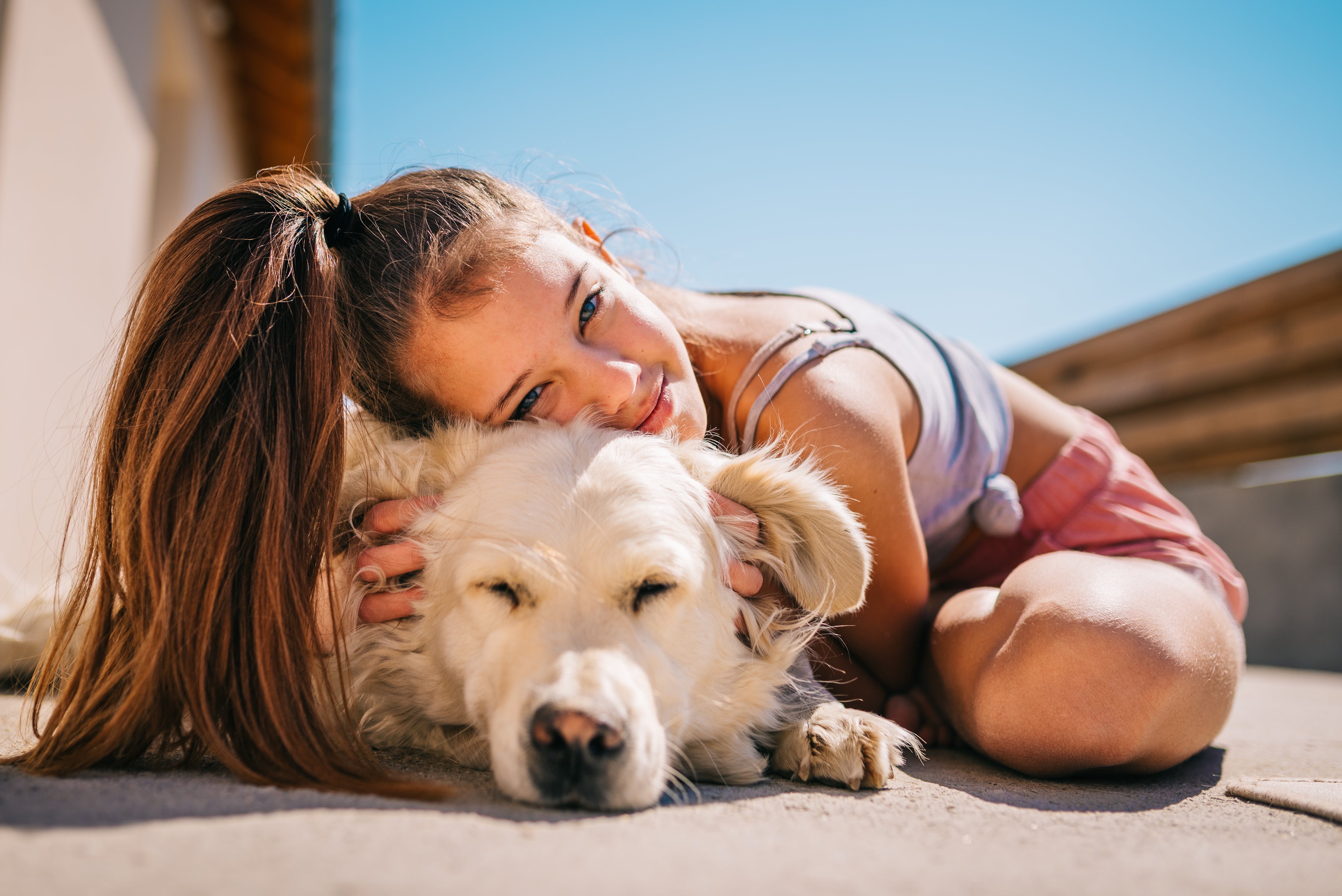 Das Leben einer Hundemutter: Liebe, Fürsorge und Freude im 21. Jahrhundert